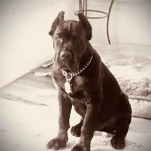 Meet your Posher, Jason